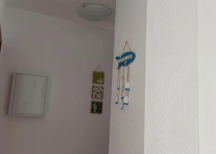 Altemar In Americas ארונה