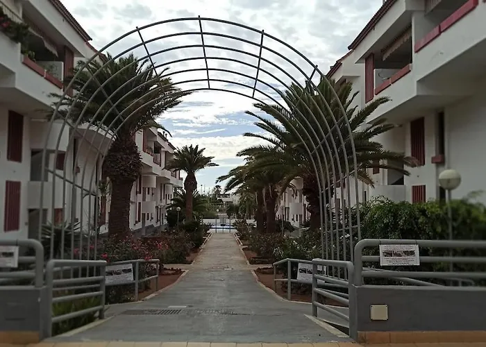 Altemar In Americas *